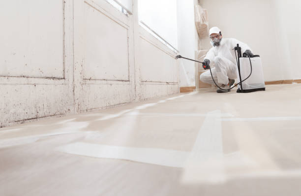 24/7 Emergency Black Mold Remediation experts in New Hope, PA
